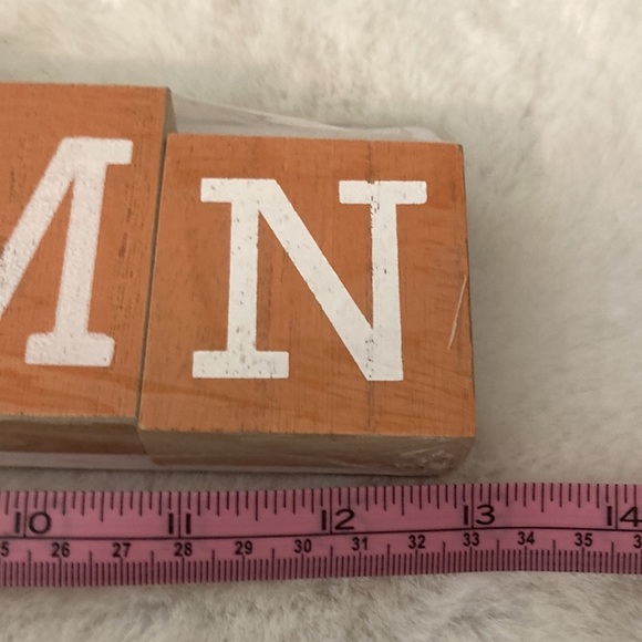 Target BP 2020 Autumn Wood Word Decor - Picture 5 of 7